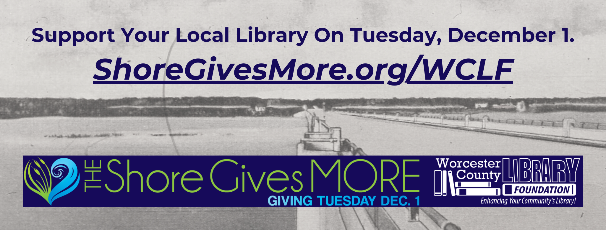 Giving Tuesday! | Worcester County Library