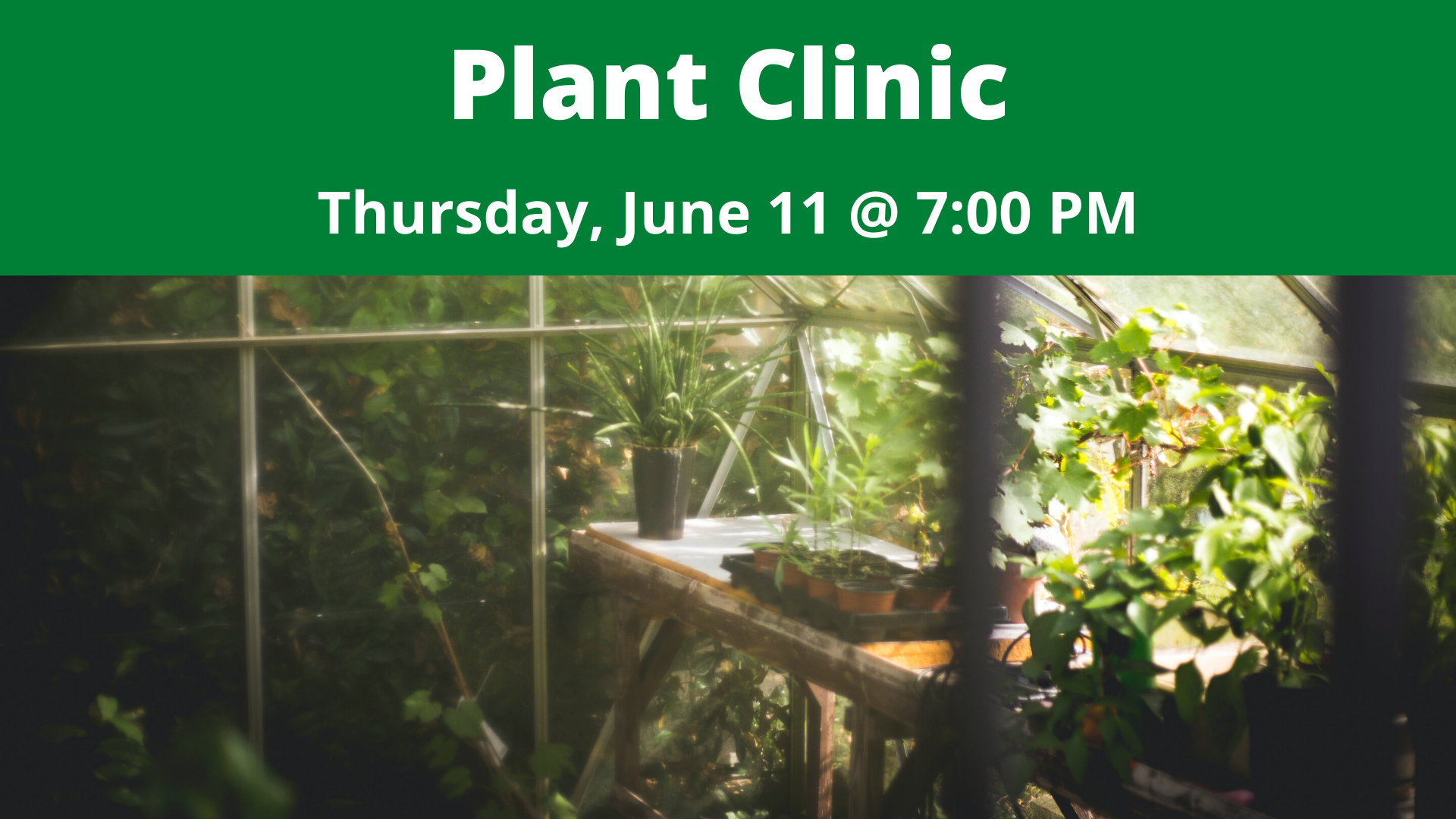 Plant Clinic
