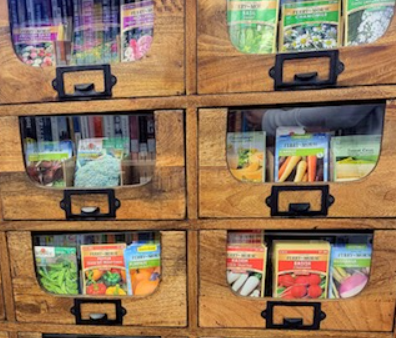 seed library cabinet at the Pocomoke branch